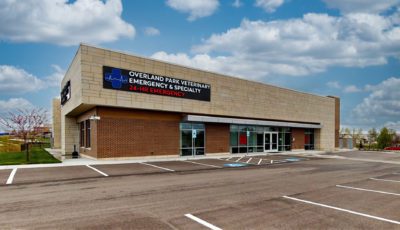 Overland Park Veterinary Emergency and Specialty Google Street View 3D Model