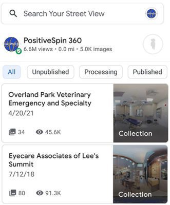 Medical and Veterinary Google Street View Stats